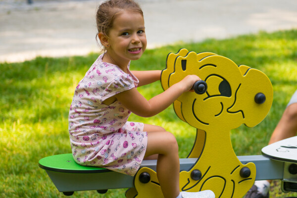 Veertoestel Papegaai