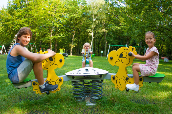 Veertoestel Papegaai