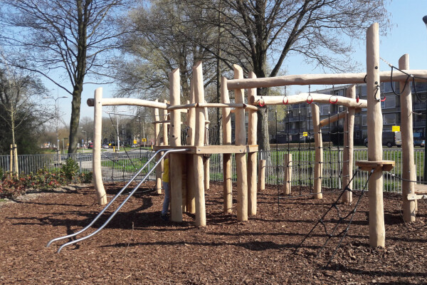 Speelcombinatie Mammoetboom •