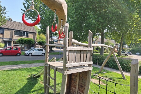 Speelcombinatie Zilverspar