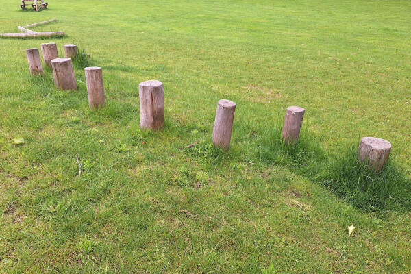 Stapstam Ø 20-25 cm