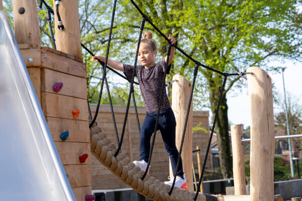 Speelcombinatie Lijsterbes