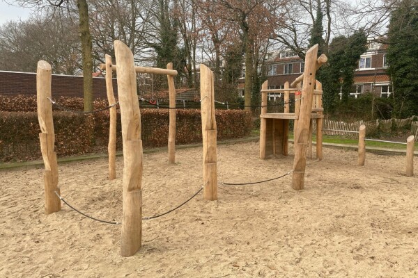 Speelcombinatie Dadel •